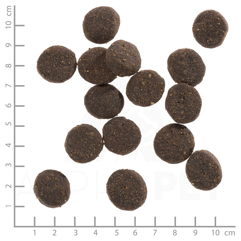 Blue Mountain 2kg