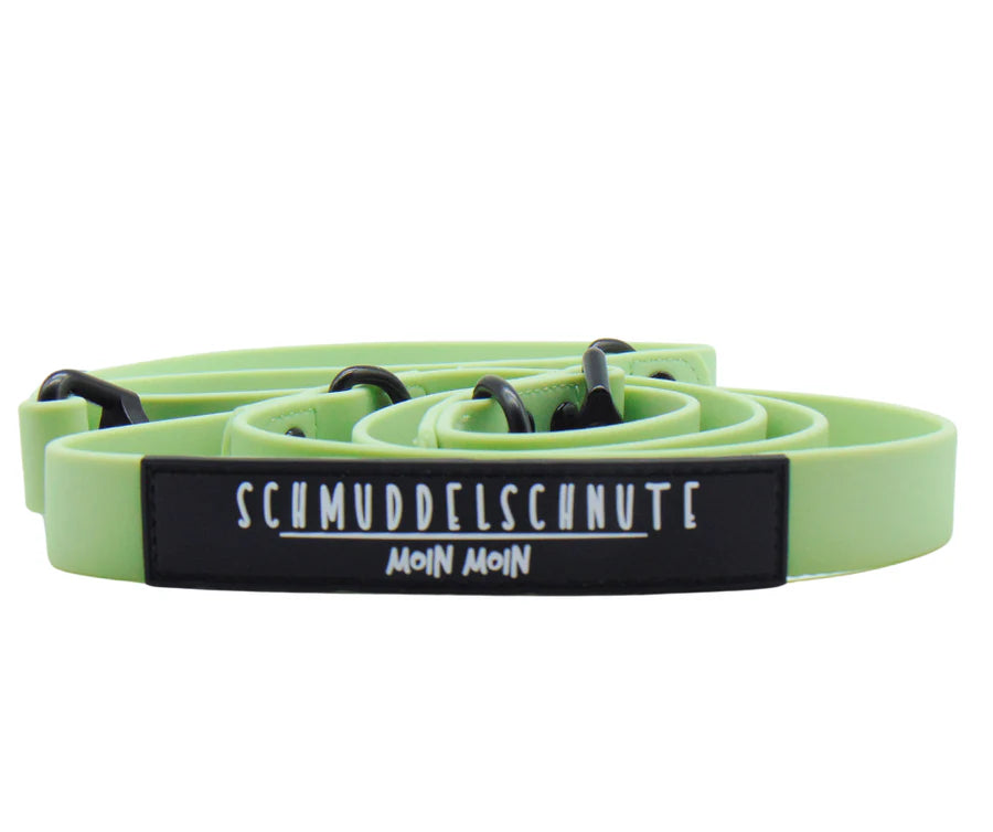 Leine "Schietwedda" Mint