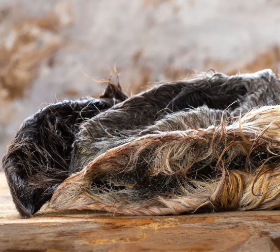 Pferdeohren mit Fell mit Muschel 3er Pack