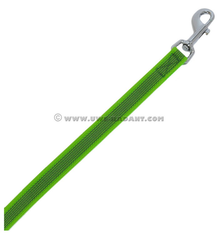 Gummierte Leine mit Handschlauf neongrün