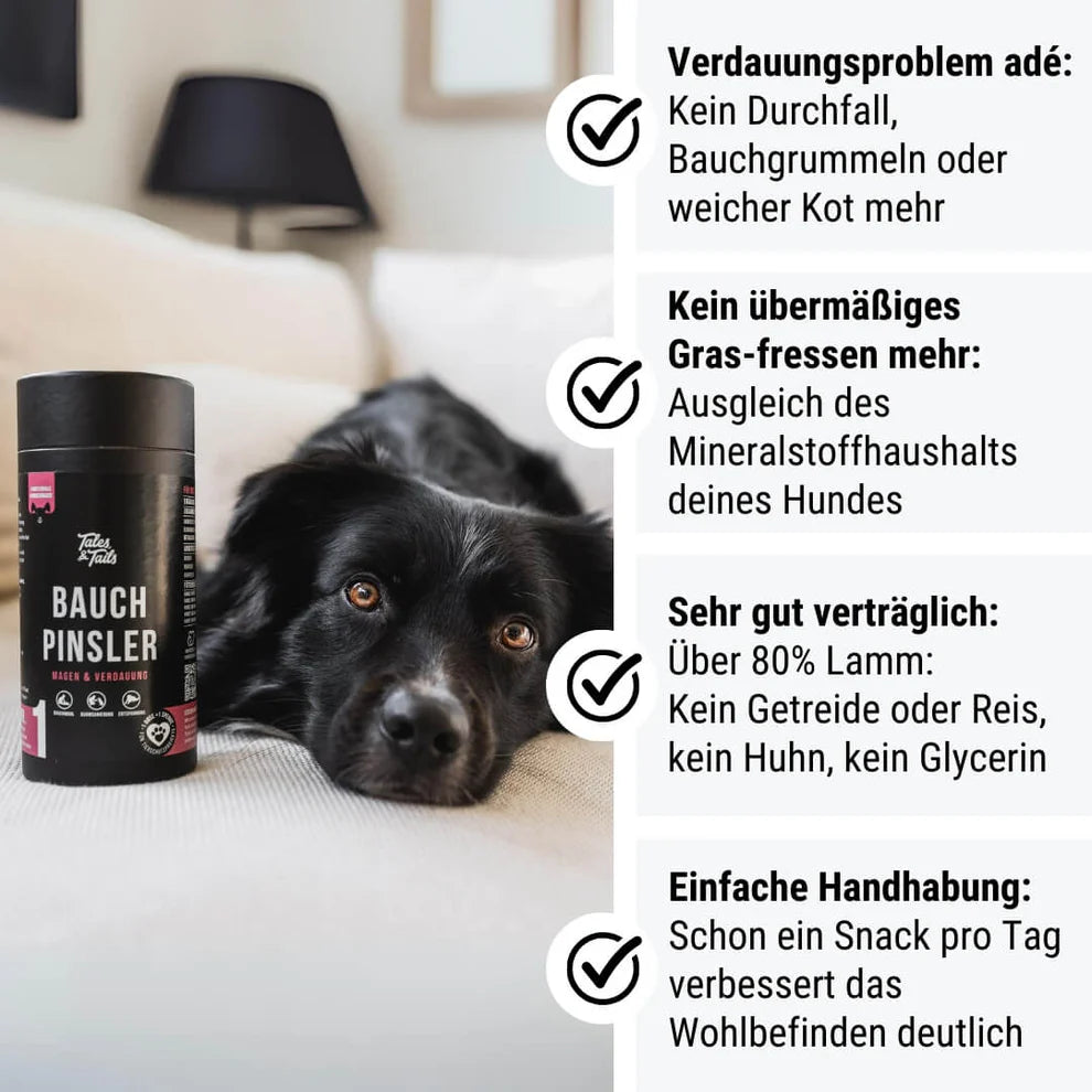 Nr. 1 Bauchpinsler