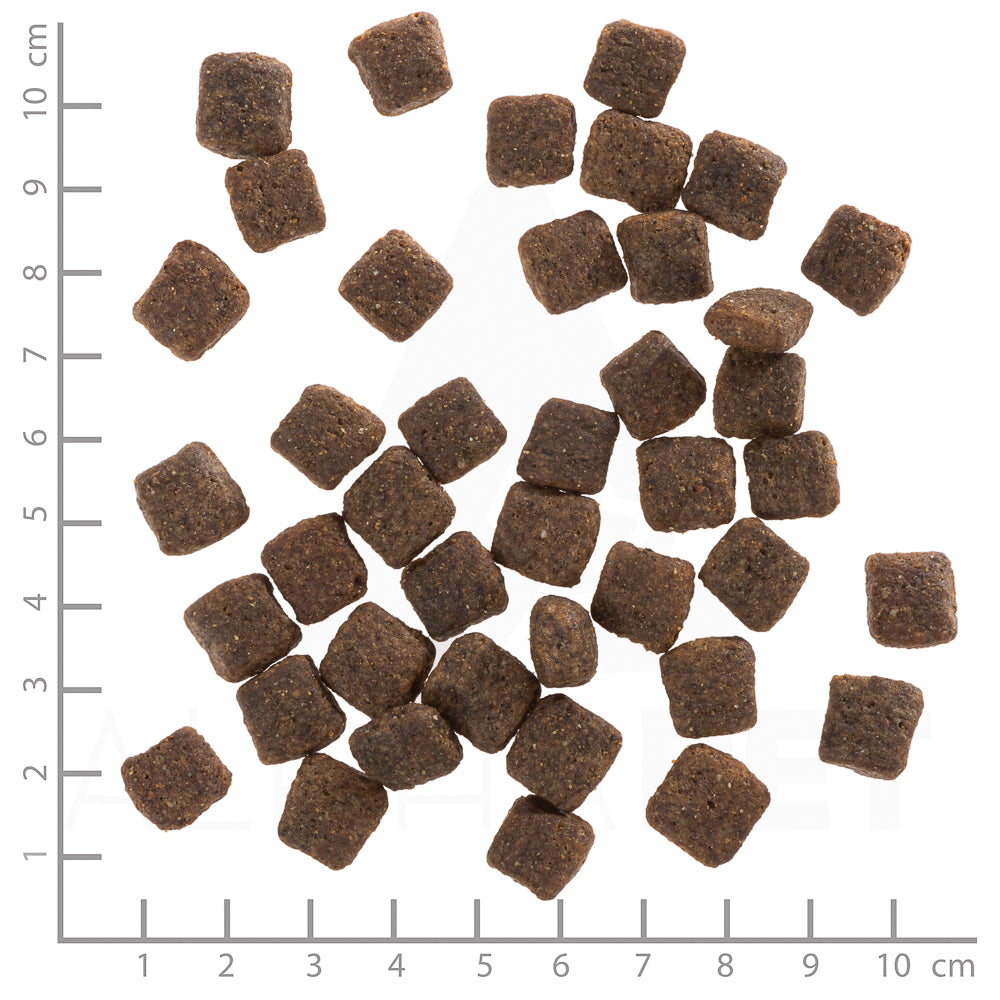 Grey Peak Senior 2kg