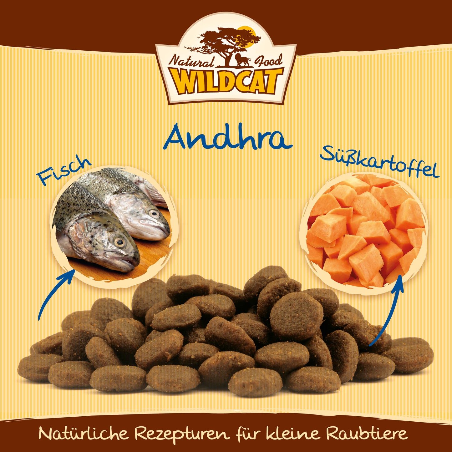 Andhra 10 Sorten Fisch