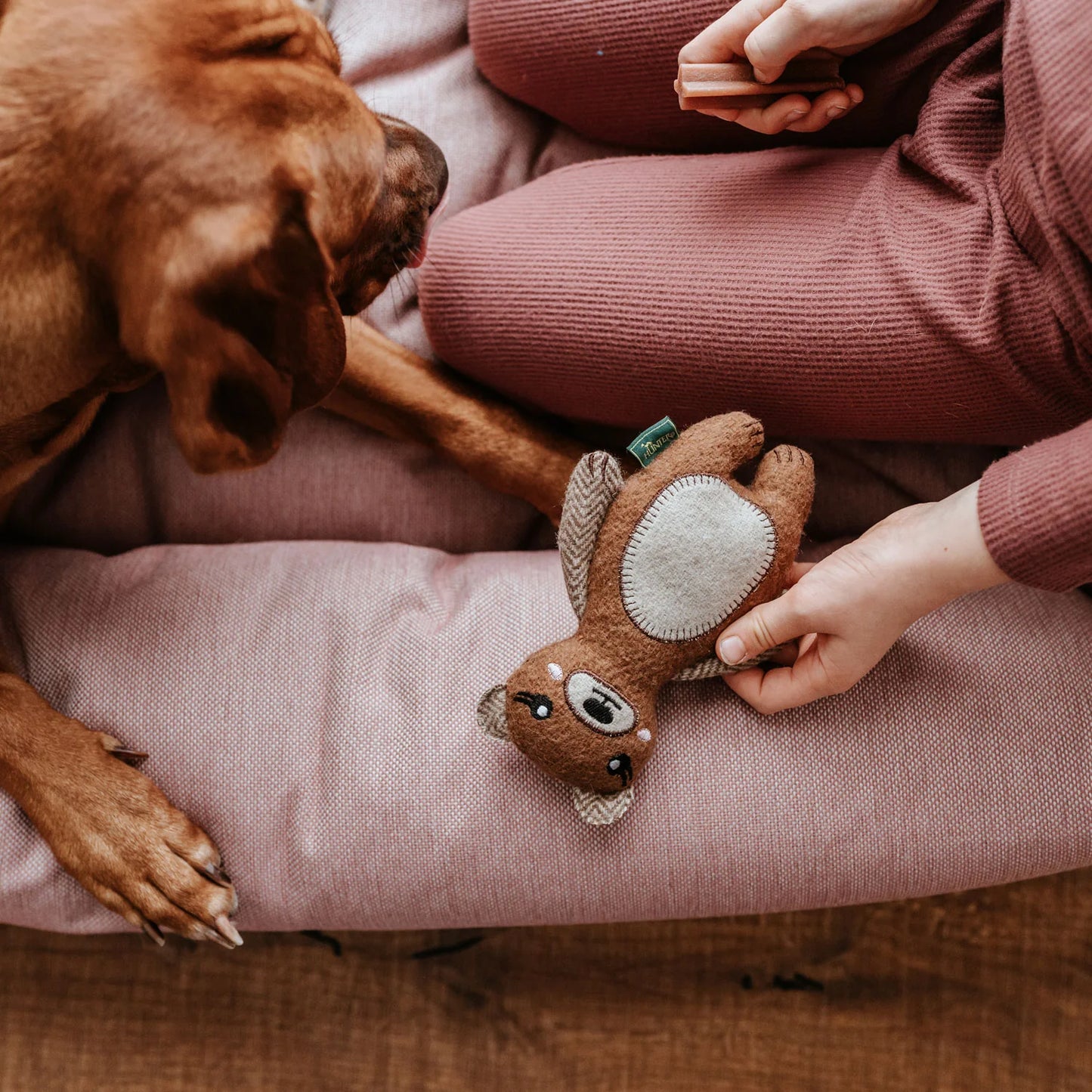 Hundespielzeug Fyn Bär