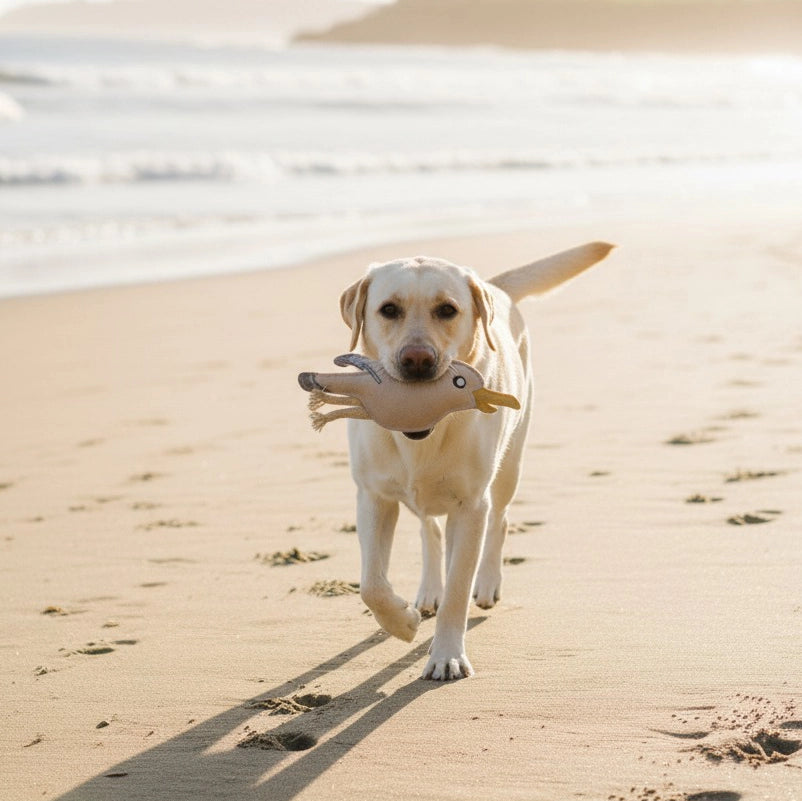 Hundespielzeug aus Leder Möve