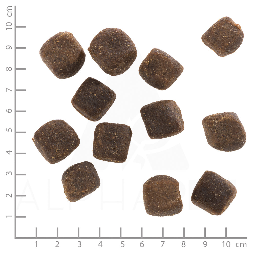 Dark Forest Squashies 300g