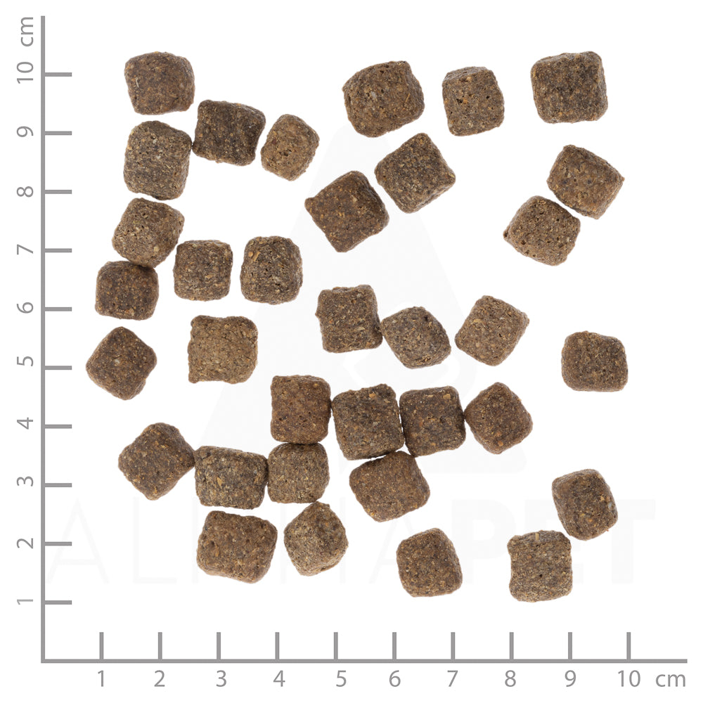 Cold River Senior 12,5kg