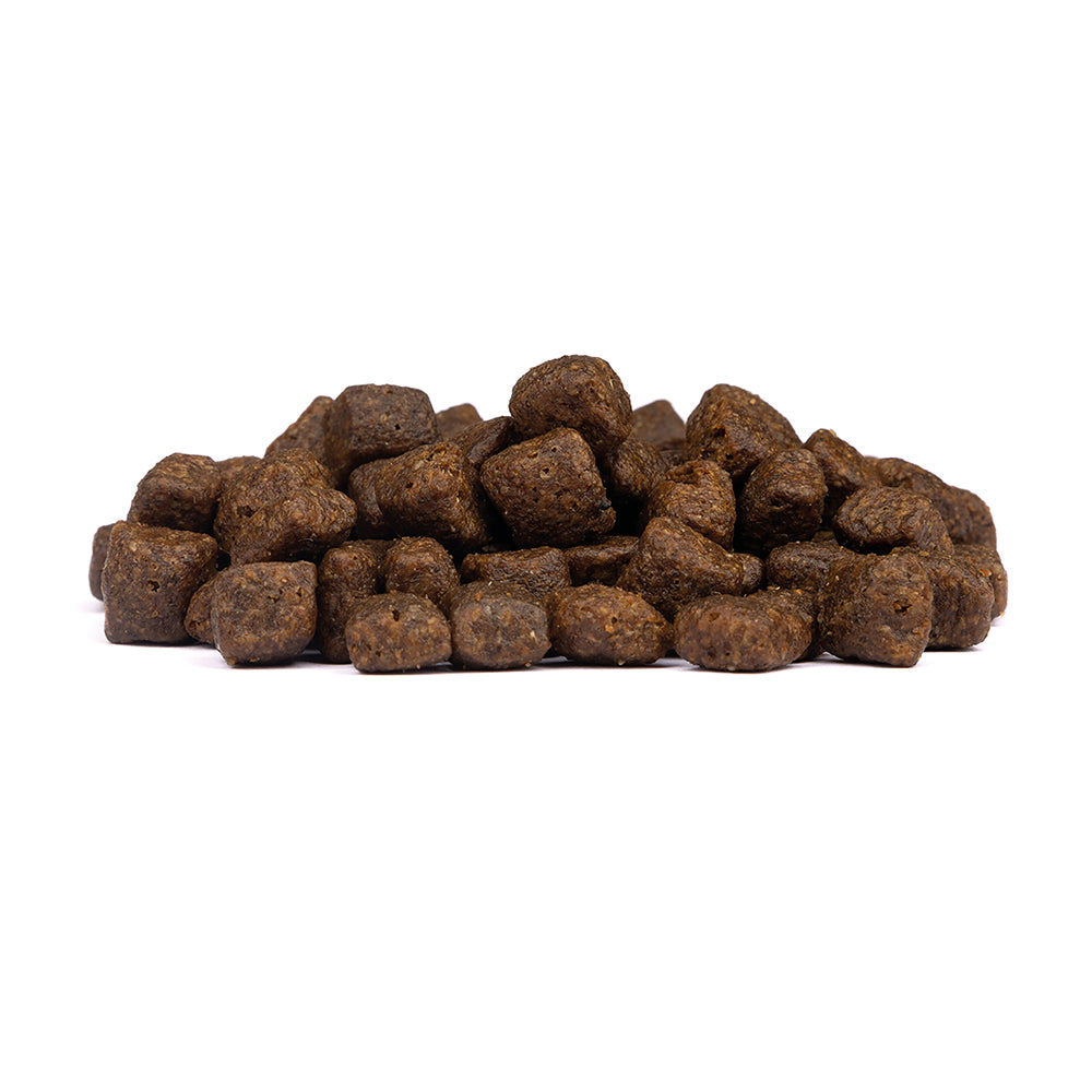 Limited Ingredients Wild Duck Puppy 1kg