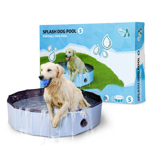 Splash Dog Pool