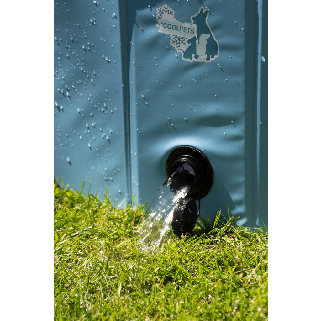 Splash Dog Pool