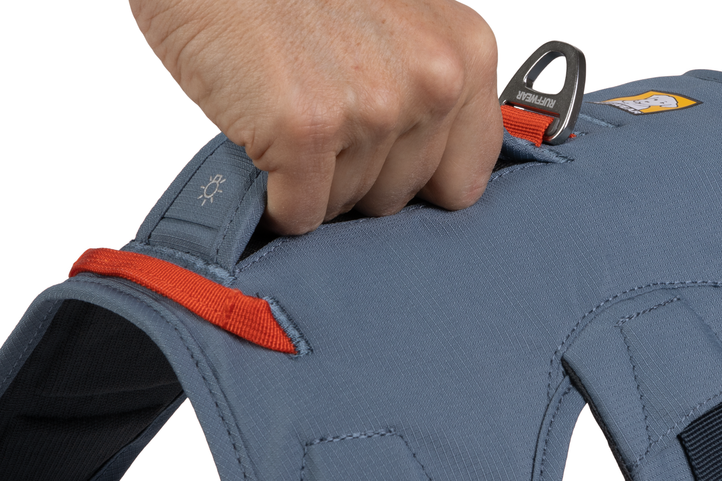 Web Master Slate Blue