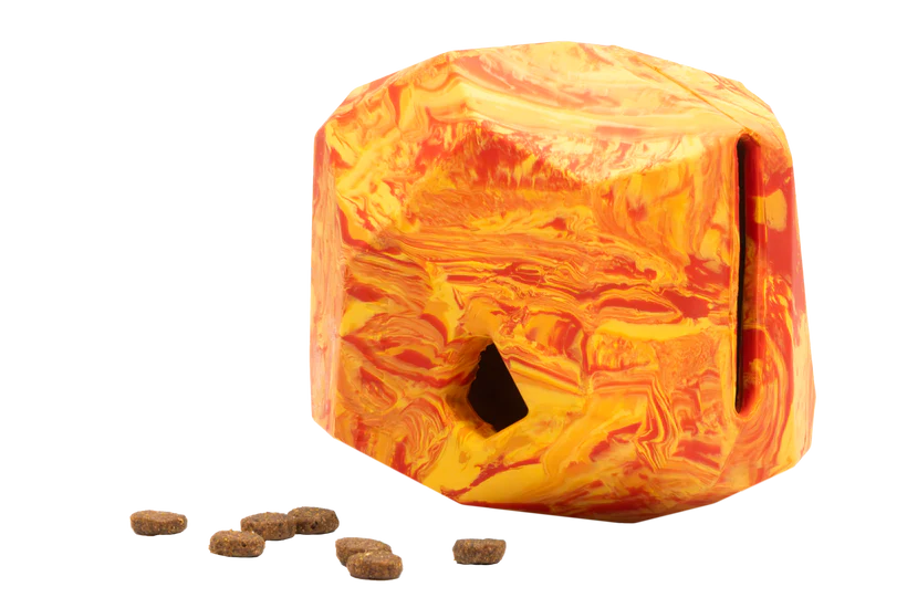 Gnawt-A-Rock Salamander Orange
