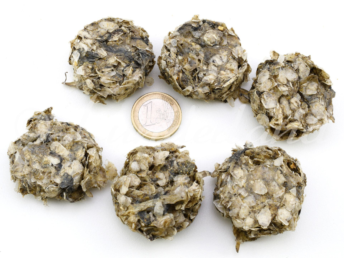 Dorschhaut-Taler 100g