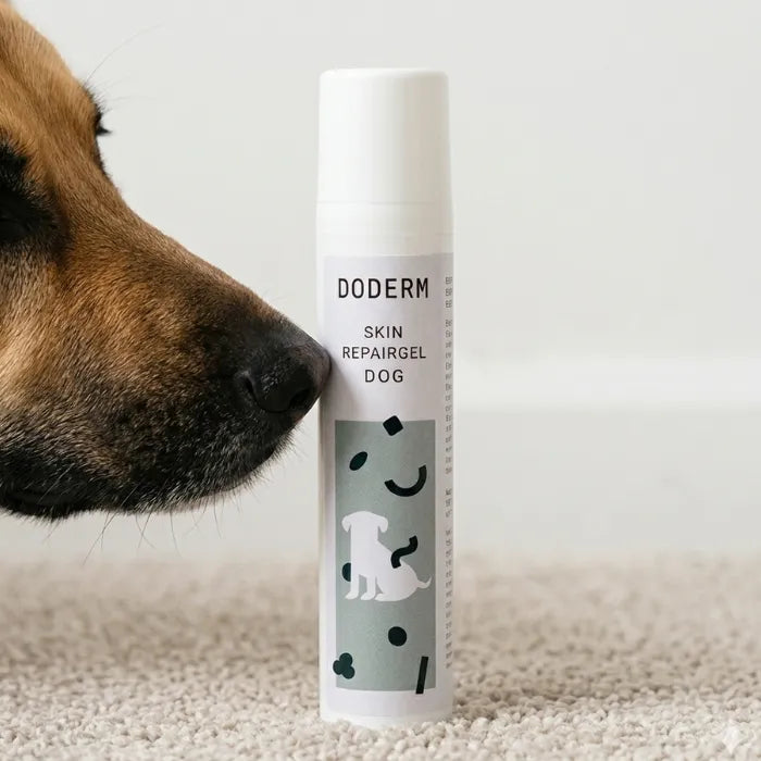 Skin RepairGel Dog 50ml