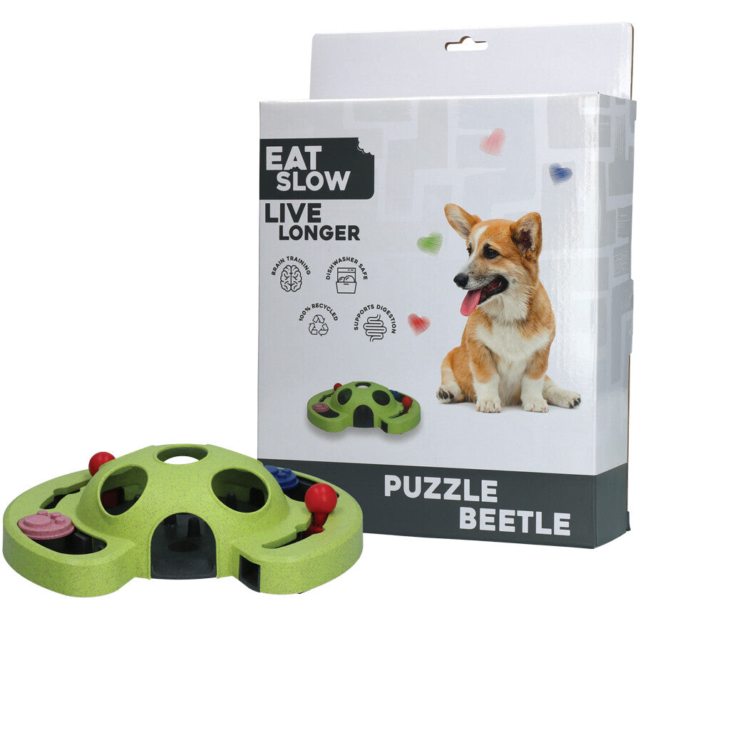 Puzzle Beetle