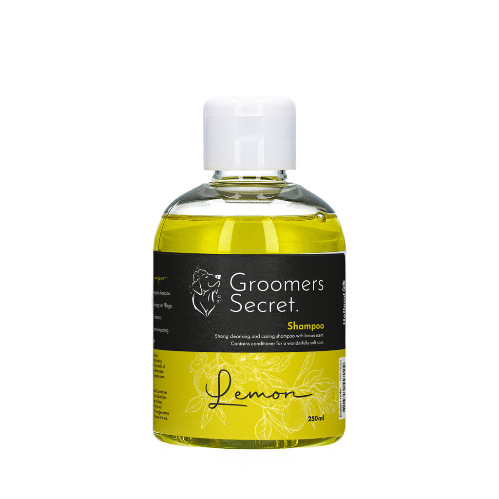 Shampoo Zitrone 250ml