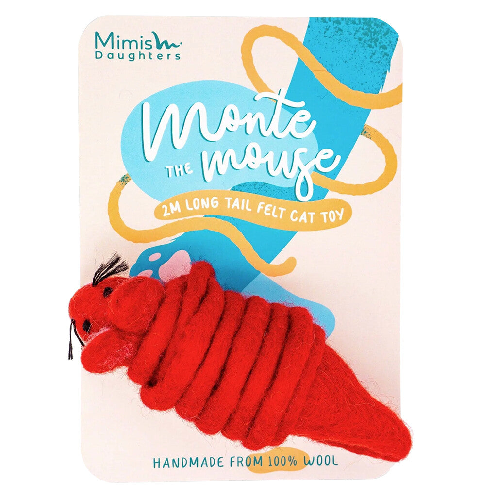 Monte the Mouse
