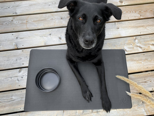 Napfunterlage Schwarz