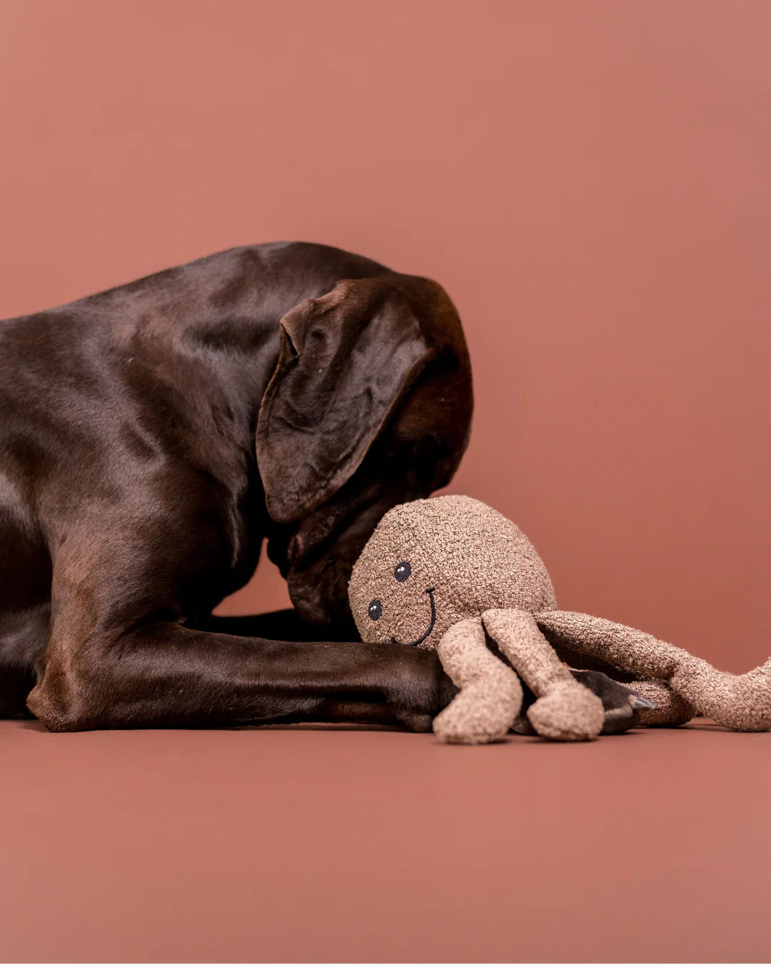 Dog Toy Bouclé Octopus - 35cm