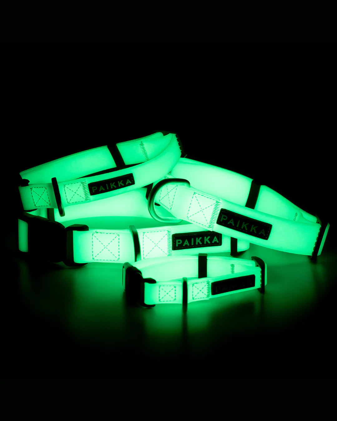 Glow Hundehalsband