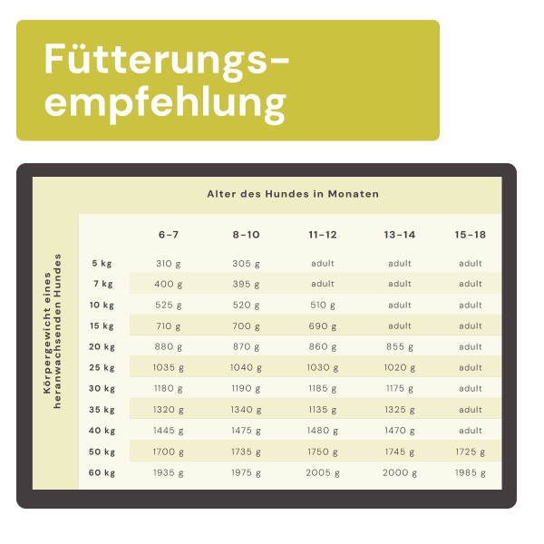 Juniormenü Rind stückig 2500g