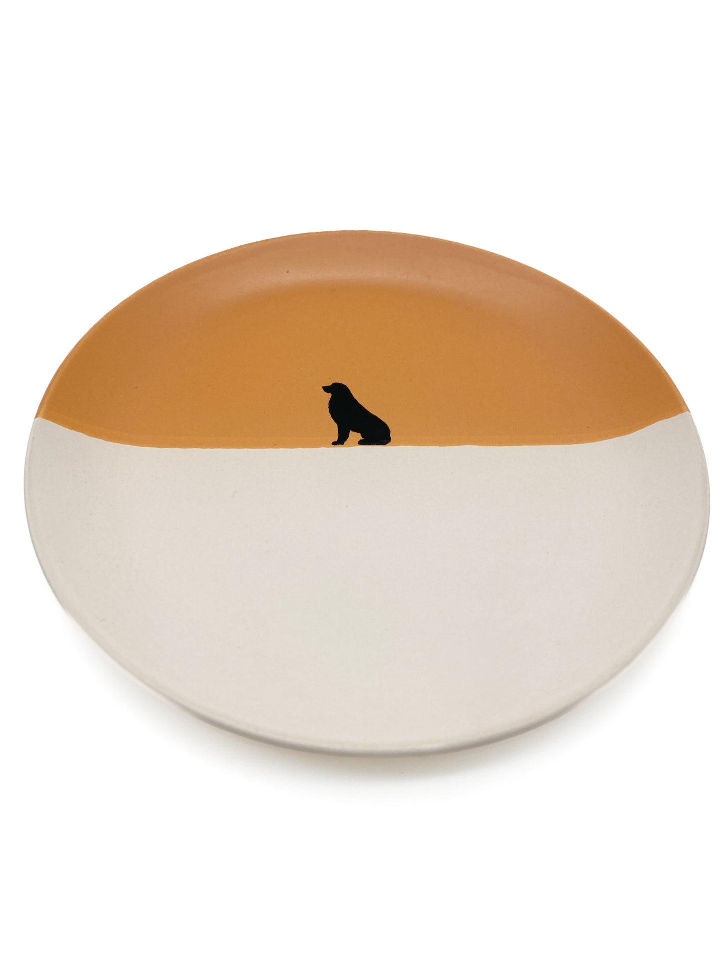 Teller Golden Retriever