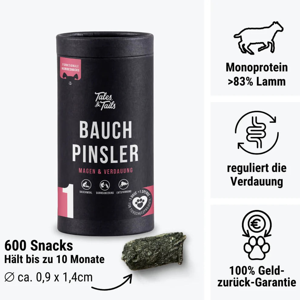 Nr. 1 Bauchpinsler
