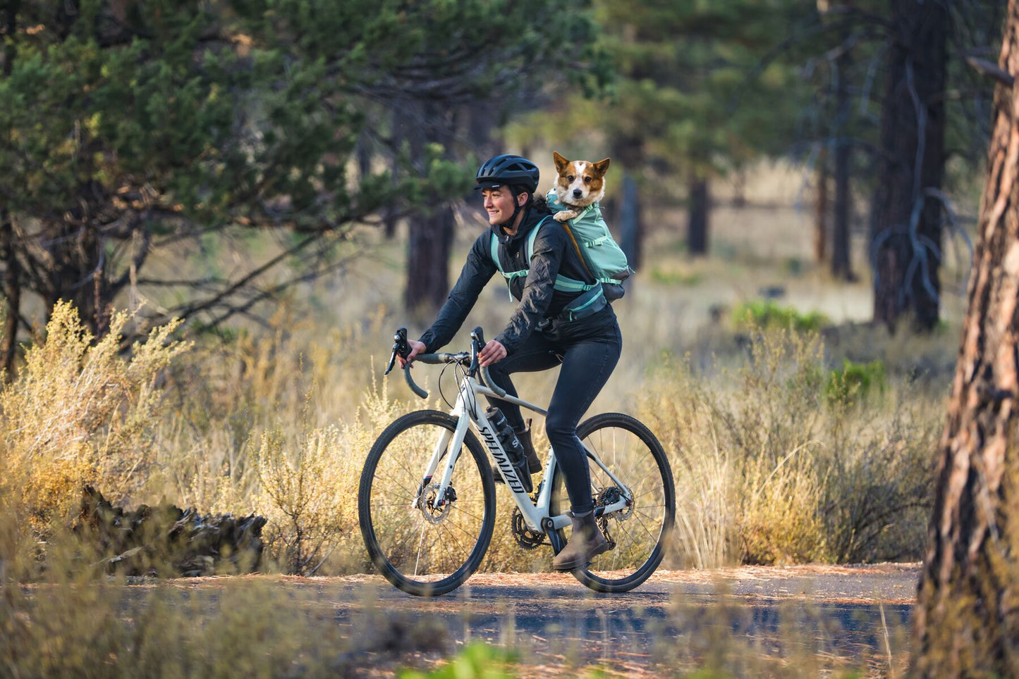 Hitch Hiker Hunde-Rucksacktrage River Rock Green
