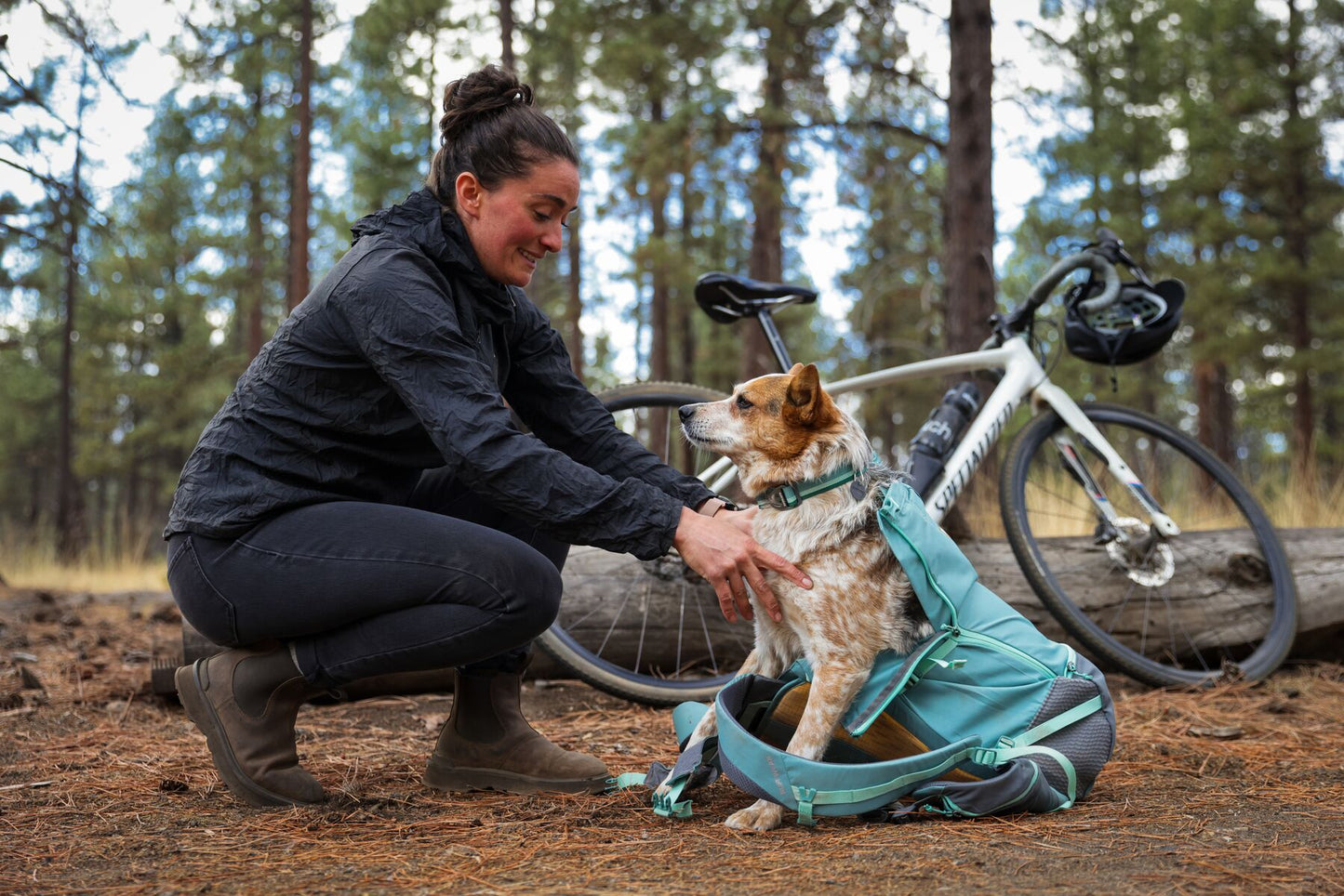 Hitch Hiker Hunde-Rucksacktrage River Rock Green