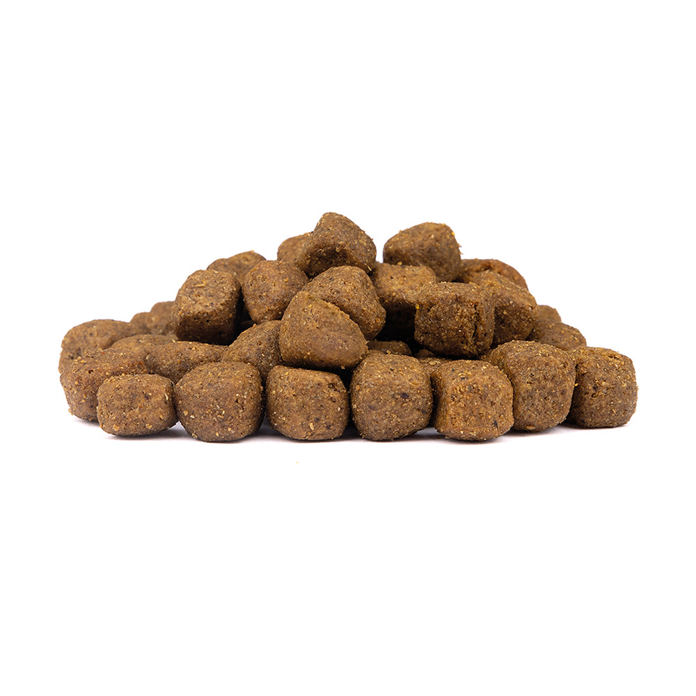 Limited Ingredients Wild Duck