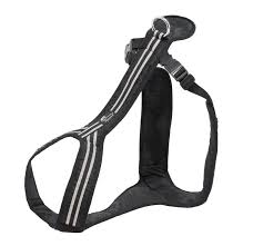 SAFETY Zug- und Führgeschirr Schwarz M