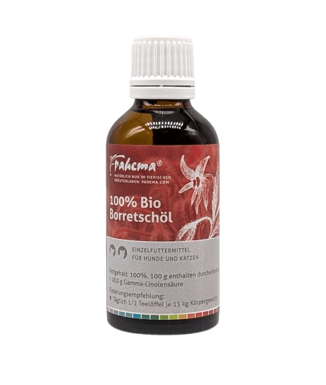 Bio Borretschöl