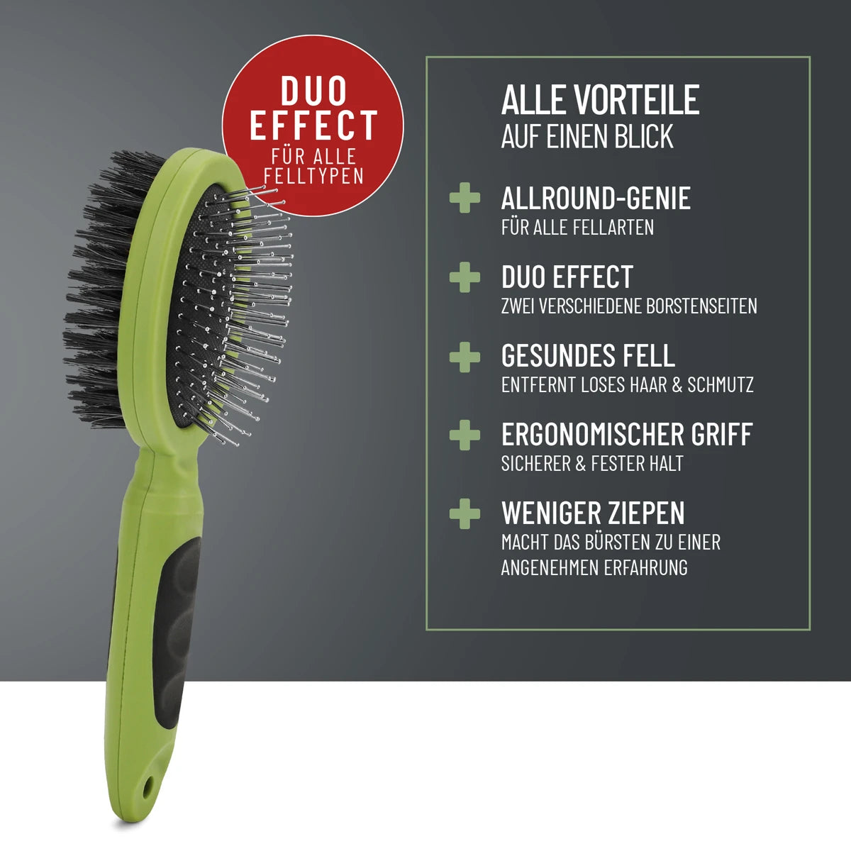 Bürste 2in1