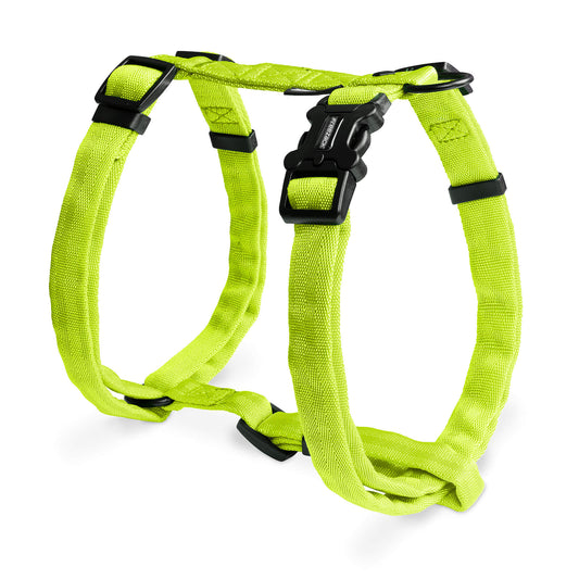 Comfort Geschirr grün