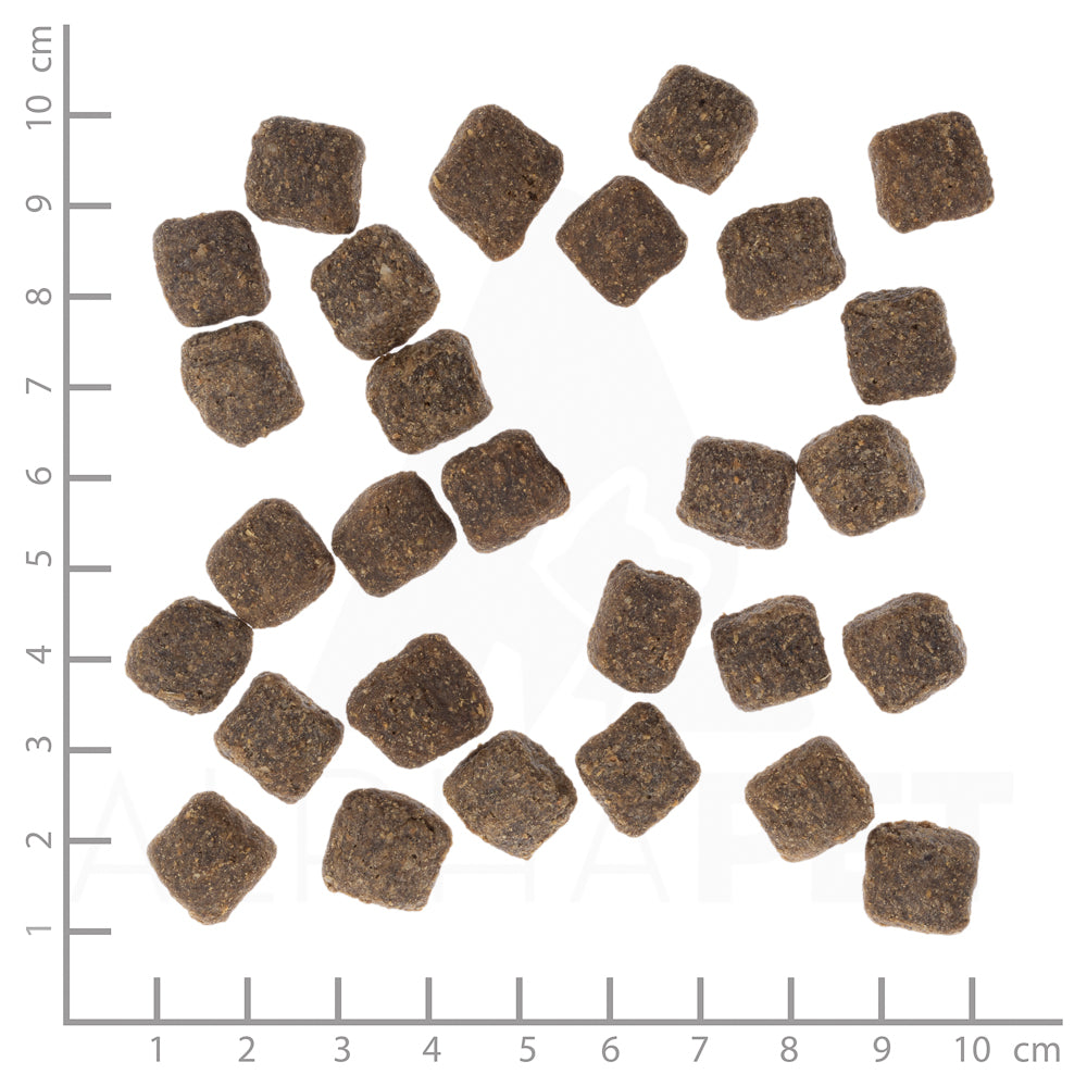Dark Forest Small Breed 2kg