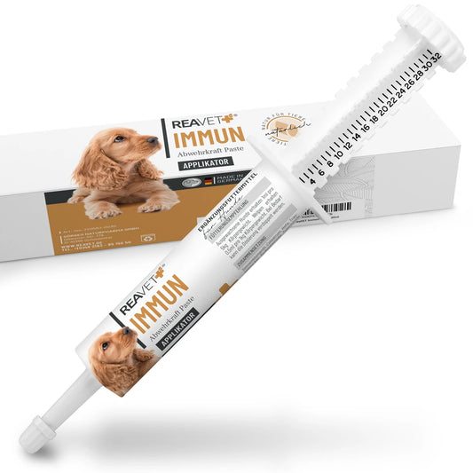 Immun Abwehrkraft Paste 30ml