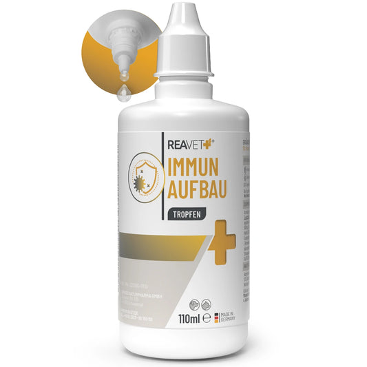 Immun Aufbau Tropfen 110ml