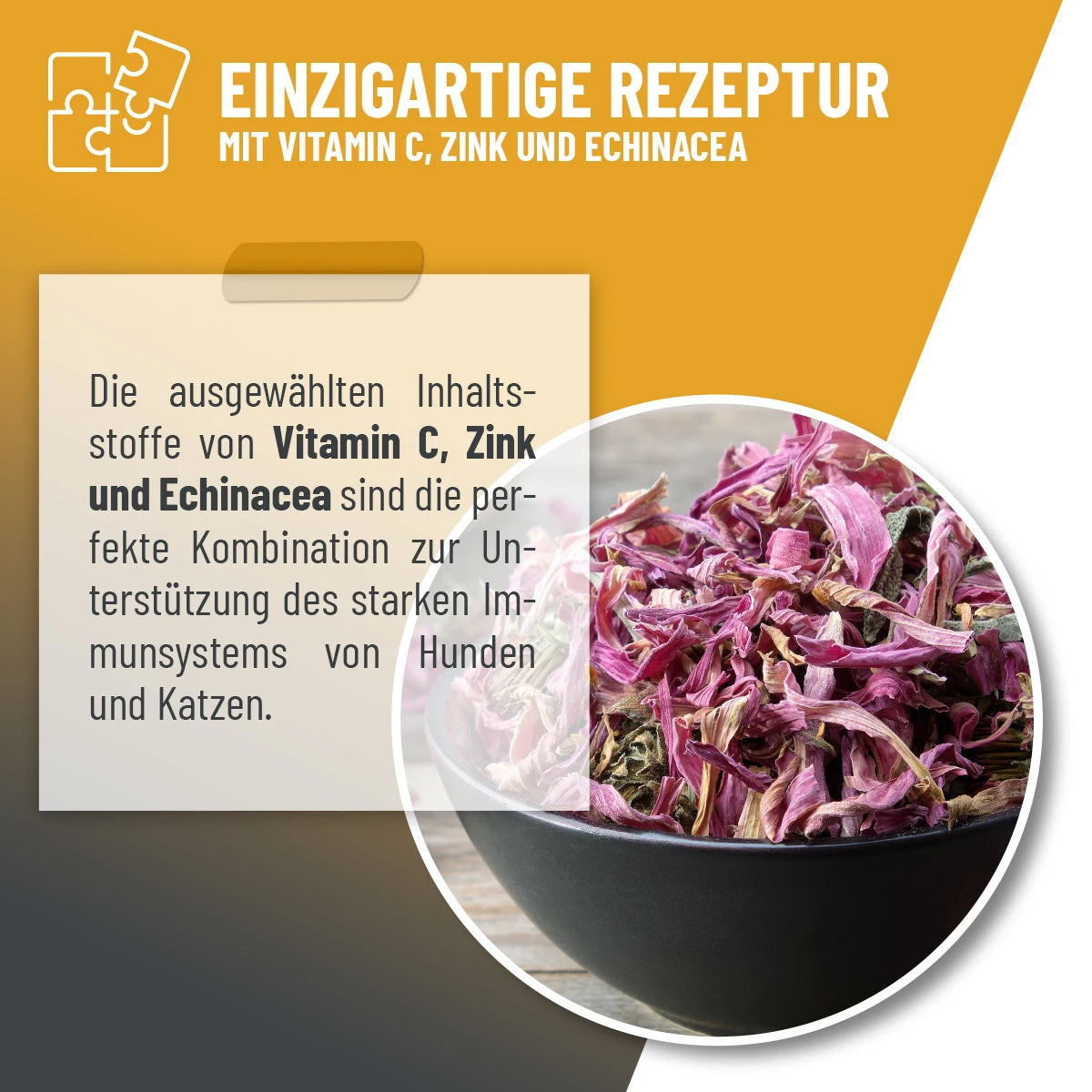 Immun Aufbau Tropfen 110ml