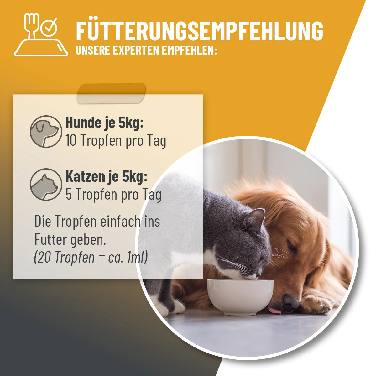 Immun Aufbau Tropfen 110ml