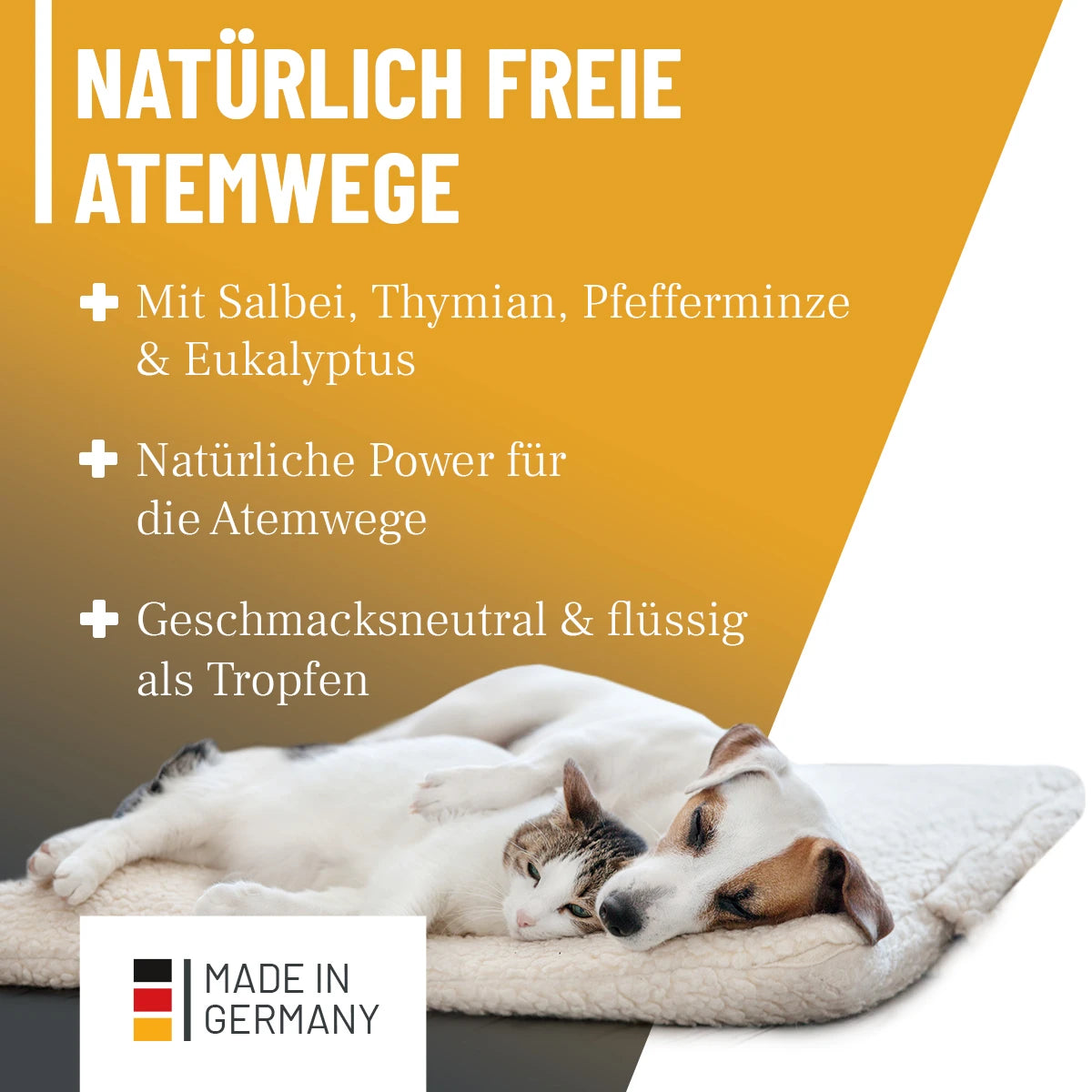Immun Aufbau Tropfen 110ml