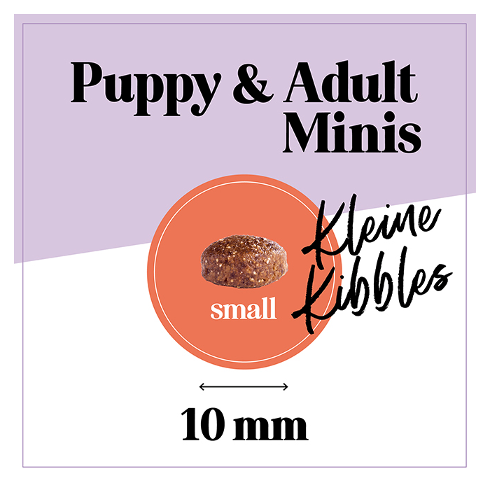 Minis Pferd 1kg