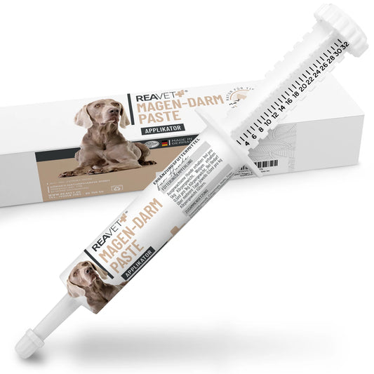 Magen-Darm Paste 30ml