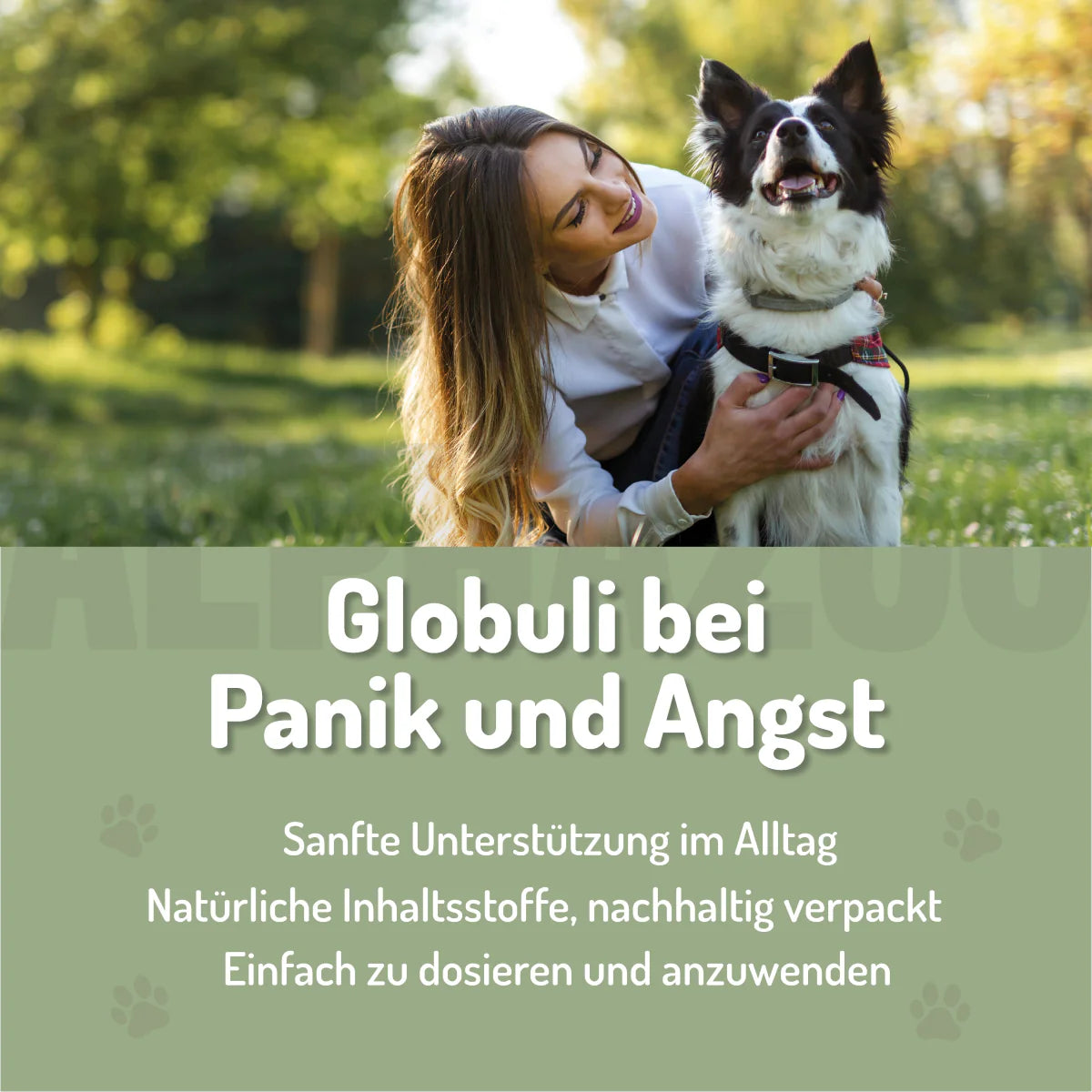 Panik Stop Bachblüten 15g