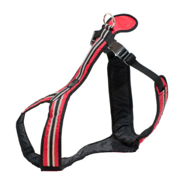 SAFETY Zug- und Führgeschirr Rot S