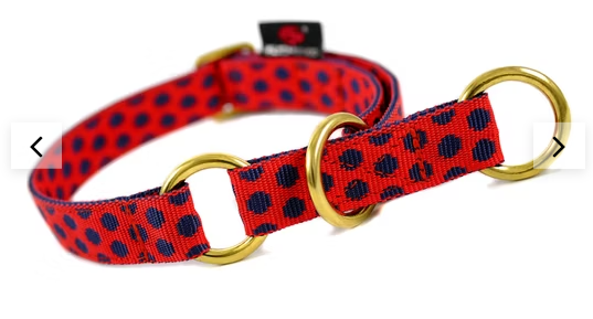 Schlupfhalsband Dots Red-Darkblue medium