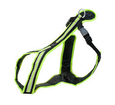 SAFETY Zug- und Führgeschirr schwarz-neongrün XL
