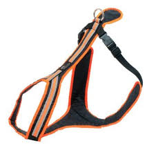 SAFETY Zug- und Führgeschirr schwarz-orange L