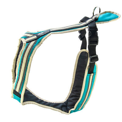 SAFETY Zug- und Führgeschirr südsee-türkis Mini II