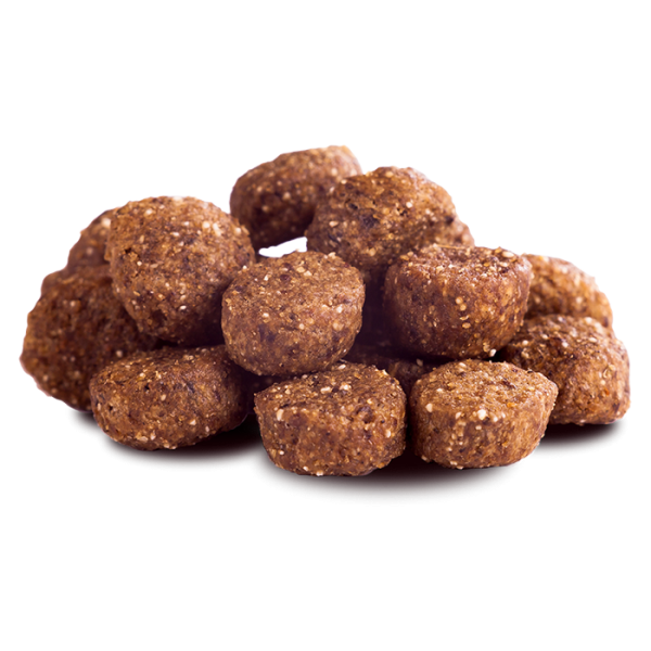 Minis Pferd 1kg