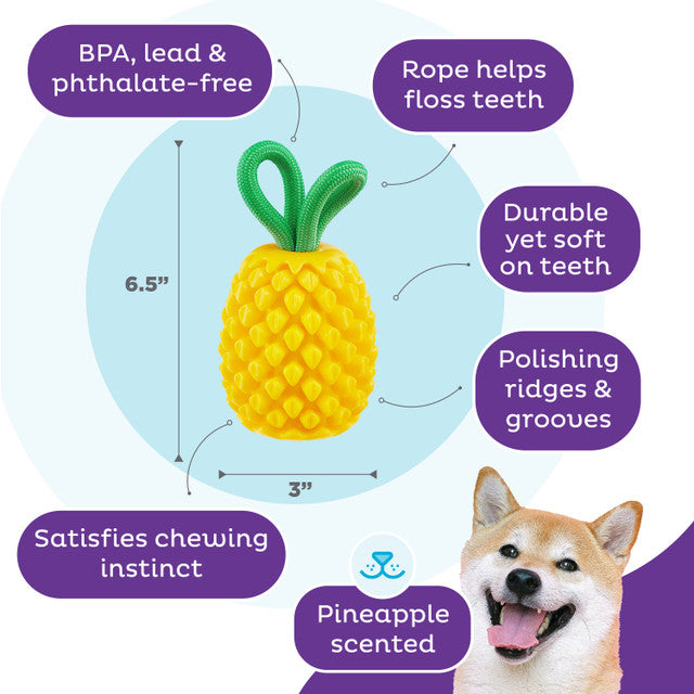 Dental Pineapple yellow